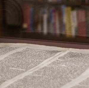 ancient parchment in a museum
